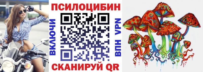 закладки  mega ССЫЛКА  Псилоцибиновые грибы прущие грибы  Зеленокумск 